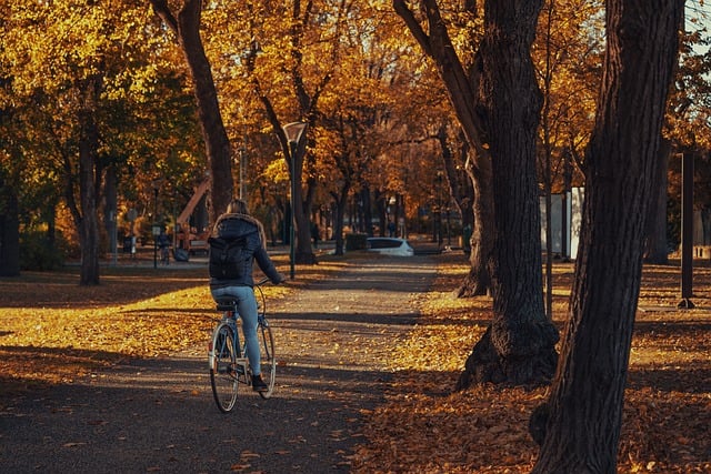 folding bicycle